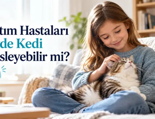 Astım Hastaları Evde Kedi Besleyebilir mi?