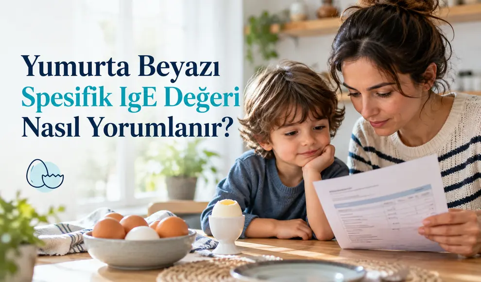 Yumurta Beyazı Spesifik IgE Değeri Nasıl Yorumlanır_ Yumurta Beyazı Spesifik IgE Değeri Nasıl Yorumlanır_